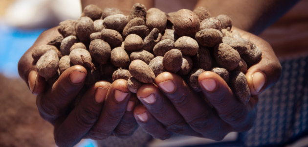 El Ingrediente: La Manteca de Karit&eacute;