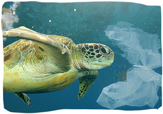 En 2025 podr&iacute;a haber m&aacute;s pl&aacute;stico que peces en los oc&eacute;anos