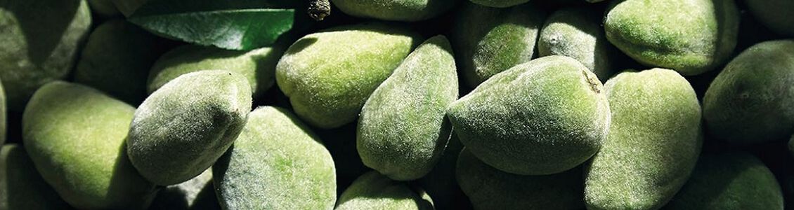 combatir-la-celulitis