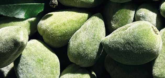 combatir-la-celulitis