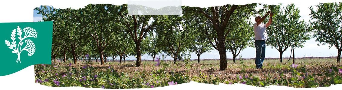 biodiversidad