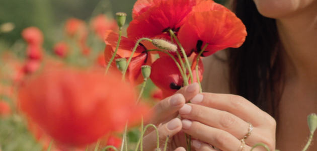 perfume de temporada