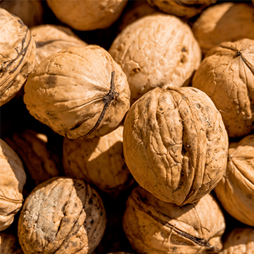 C&aacute;scaras trituradas de nueces