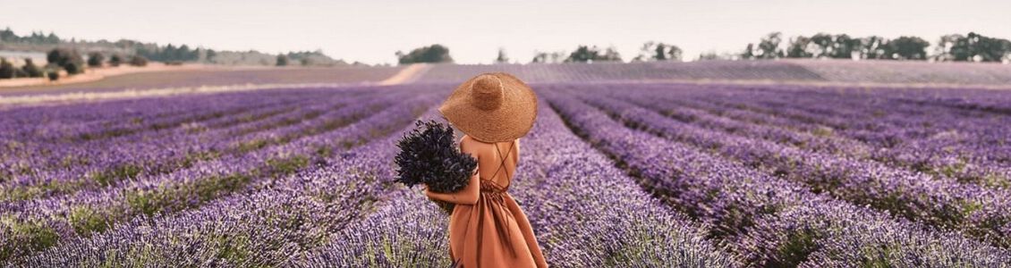 La marca L Occitane