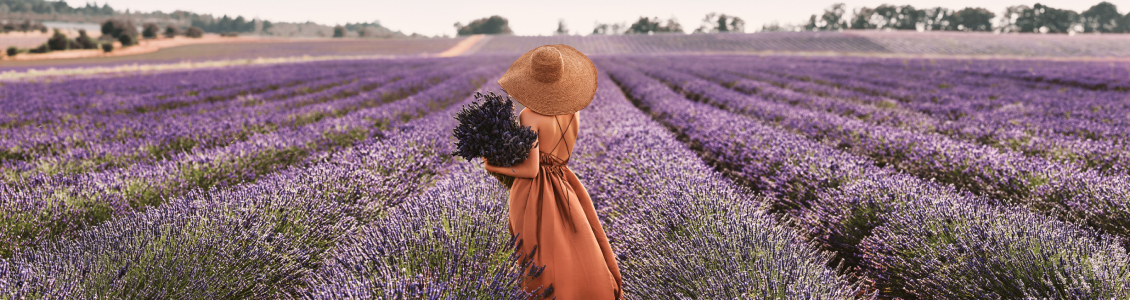 &iexcl;Descubre los muchos beneficios de la verdadera lavanda*!