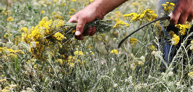 100% Transparentes en nuestras f&oacute;rmulas