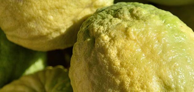 ingrediente cedrat