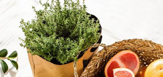 ingredientes naturales