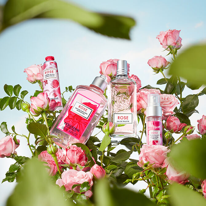 coleccion rosa