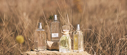 Parfumes florales y herbales