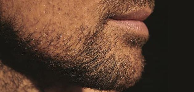 appliquer son huile a barbe