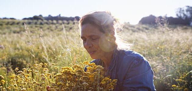catherine sanci y la siempreviva
