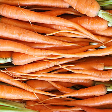 Aceite vegetal de zanahoria