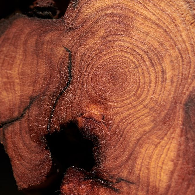 madera