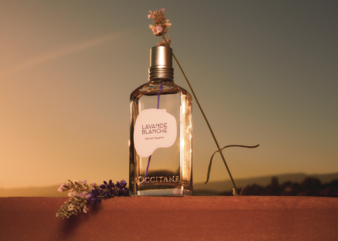 Las propiedades de la Lavanda