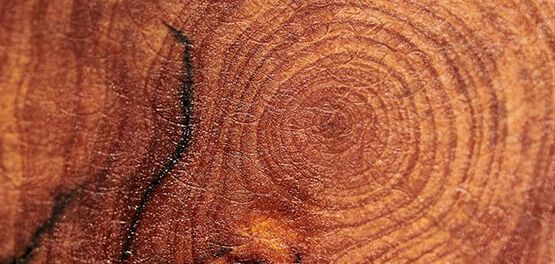 madera de enebro
