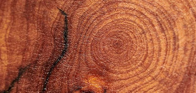 madera de enebro