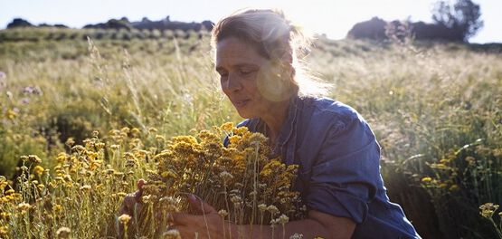 &Eacute;RASE UNA VEZ L'OCCITANE...