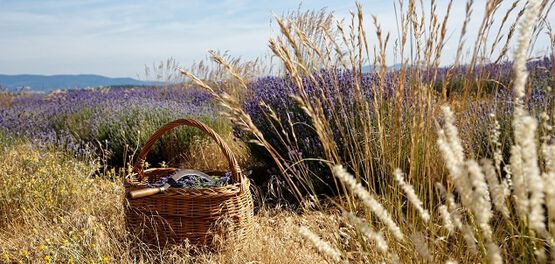 historia l occitane