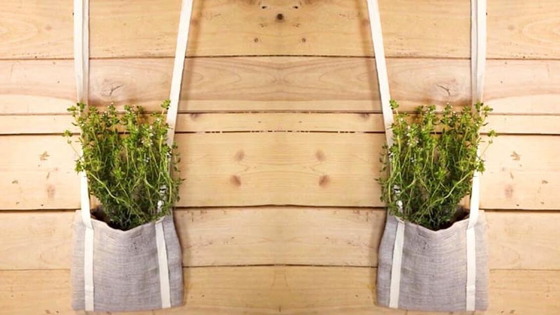 Leyendo LL&Eacute;NALOS DE PLANTAS O FLORES PARA DECORAR