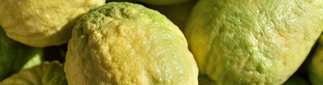 ingrediente cedrat