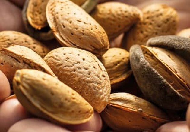 C&aacute;scara de almendra dulce