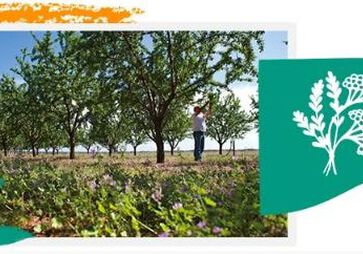 Respetar la biodiversidad