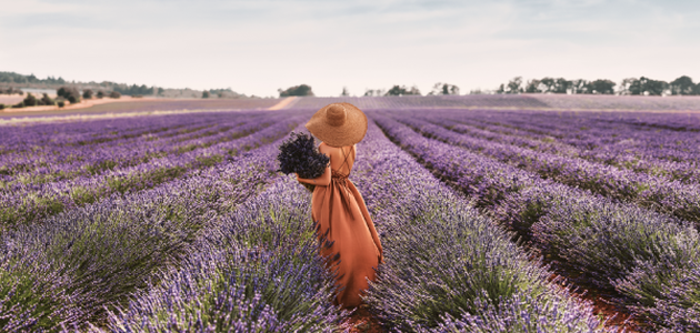 &iexcl;Descubre los muchos beneficios de la verdadera lavanda*!