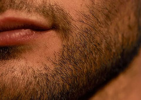barba corta