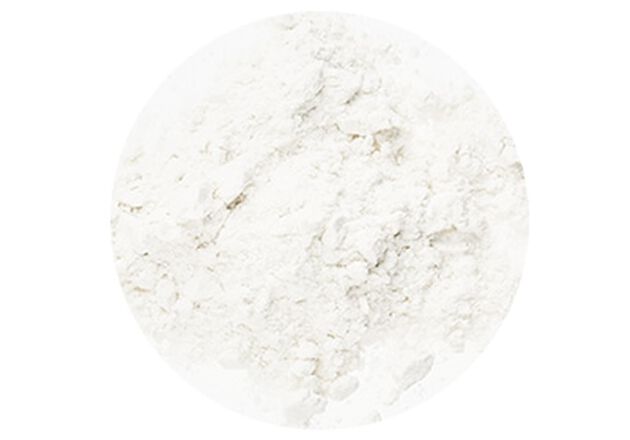 reina blanca