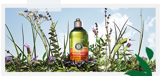 AROMACOLOG&Iacute;A: &iexcl;10 a&ntilde;os de envases reciclados!