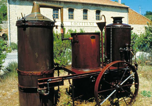 La herencia hist&oacute;rica de L'OCCITANE