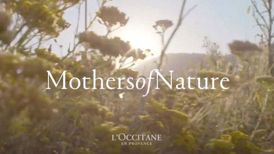 Leyendo  