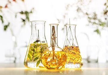 Carta de Formulaci&oacute;n