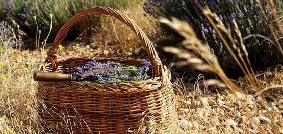 ingredients naturels soin corps