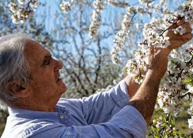 Nuestro productor de almendras