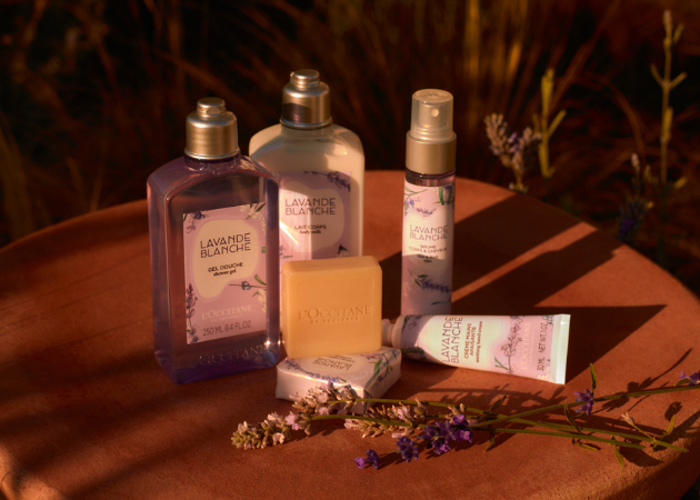 Nuestra Colecci&oacute;n Lavanda