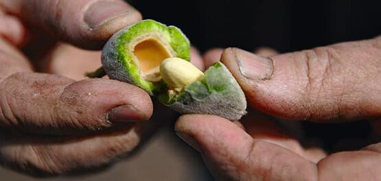 almendra