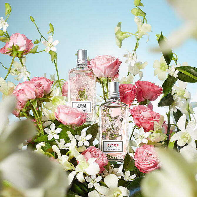 perfumes florales