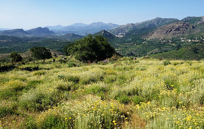 paisaje