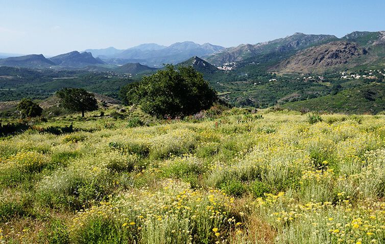 paisaje