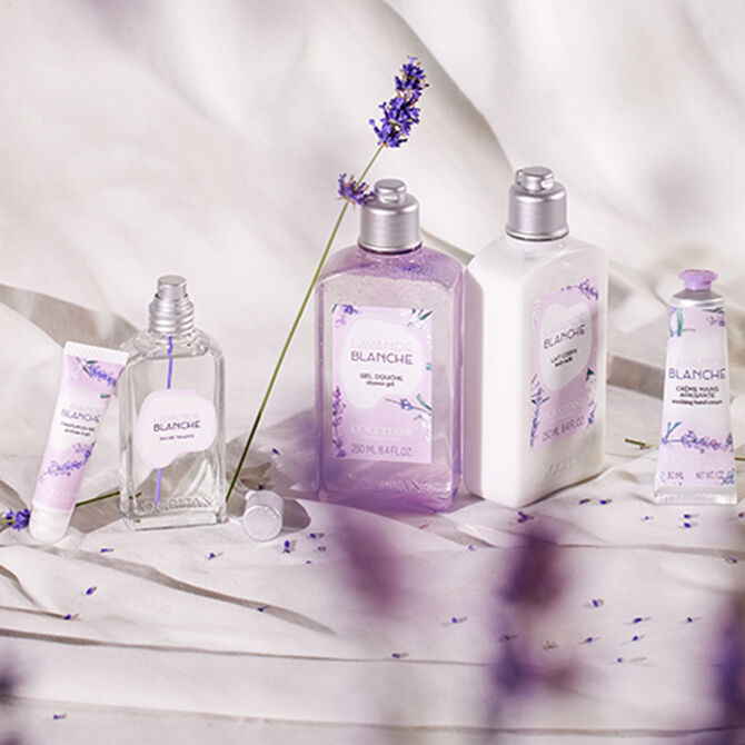 lavanda blanca