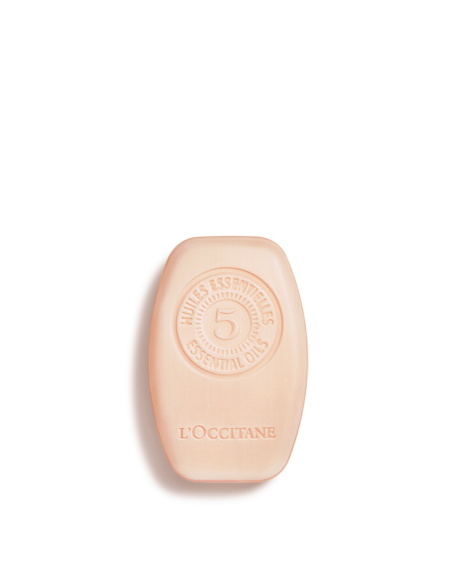 Champ&uacute; S&oacute;lido Reparaci&oacute;n Intensa Aromacolog&iacute;a 60 g | L&rsquo;Occitane en Provence