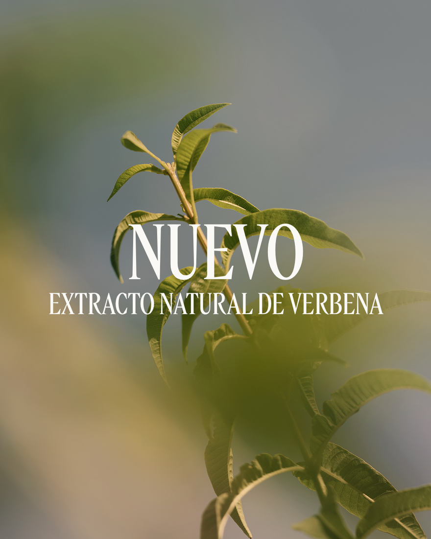 Vista 3/3 de Leche Corporal Verveine, , RECT