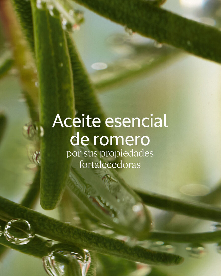 Vista 3/3 de Champ&uacute; Fuerza & Volumen Aromacolog&iacute;a, , RECT