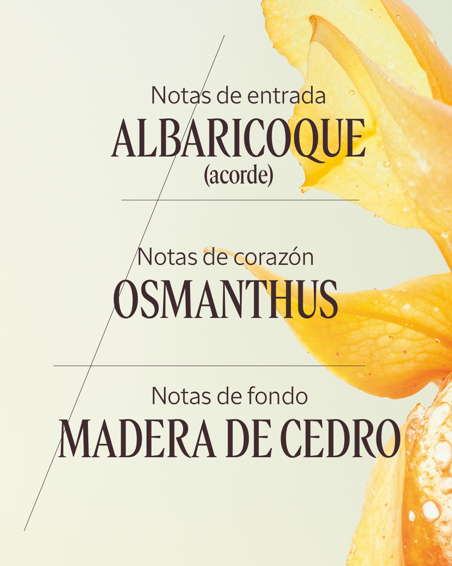 Vista 4/7 de Eau de Toilette Osmanthus Abricot, , RECT