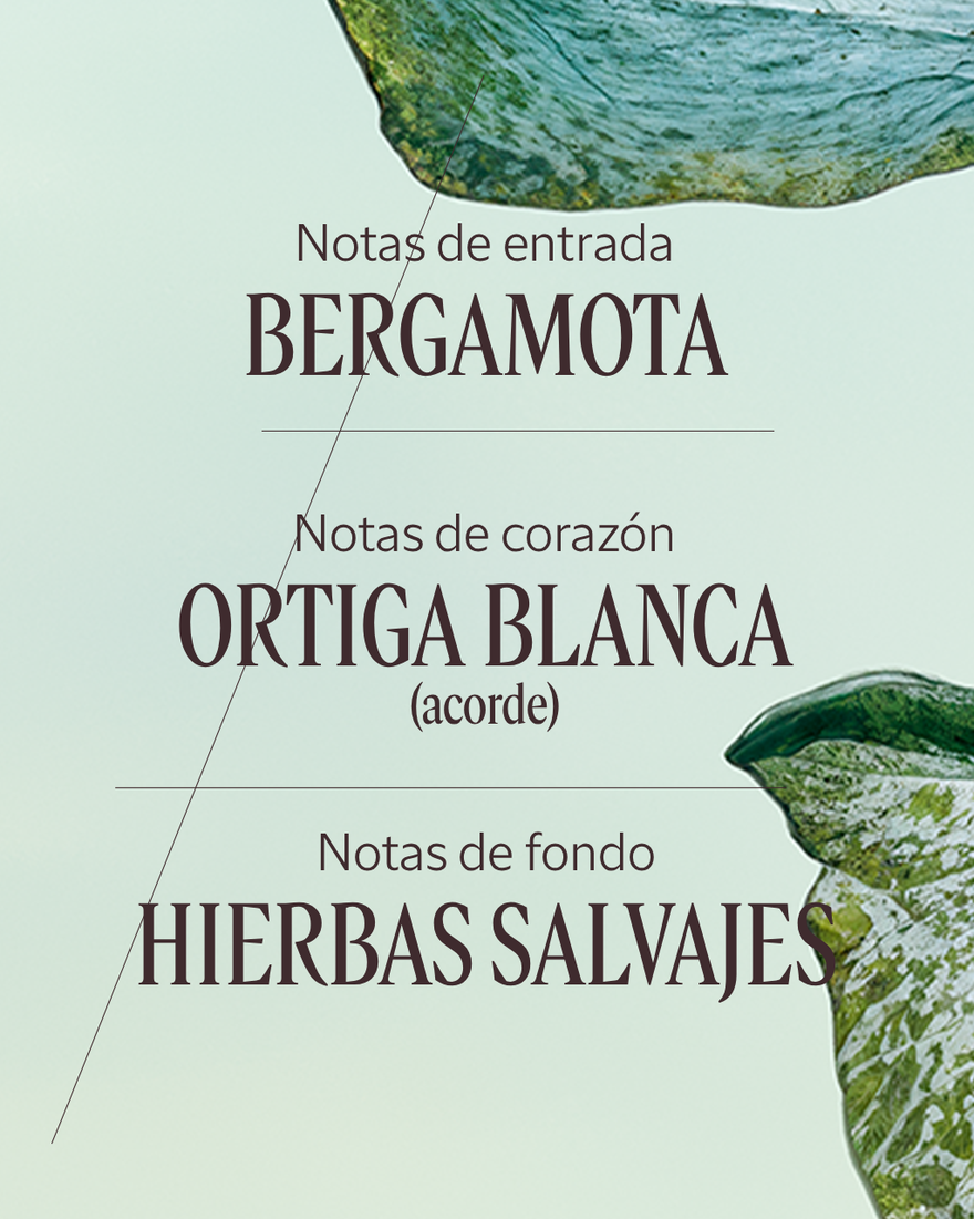 Vista 4/7 de Eau de Parfum Ortie Blanche (Herbae), , RECT