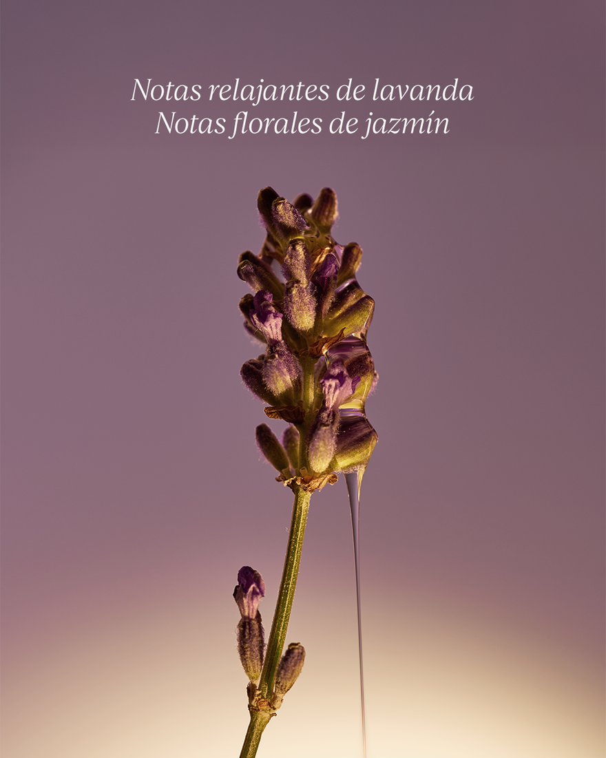 Vista 7/8 de Jab&oacute;n L&iacute;quido de Manos y Cuerpo Lavanda, , RECT