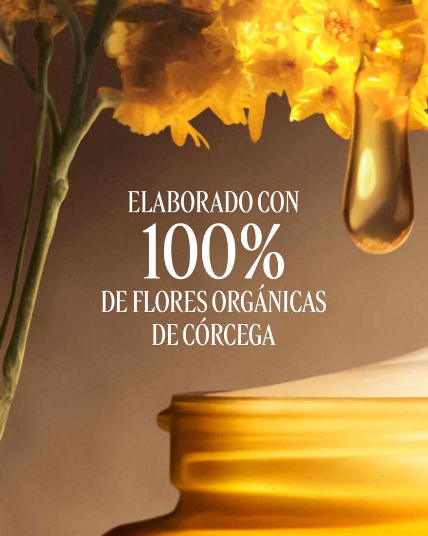 Crema Divina Siempreviva - Lujo Antiedad | L'Occitane