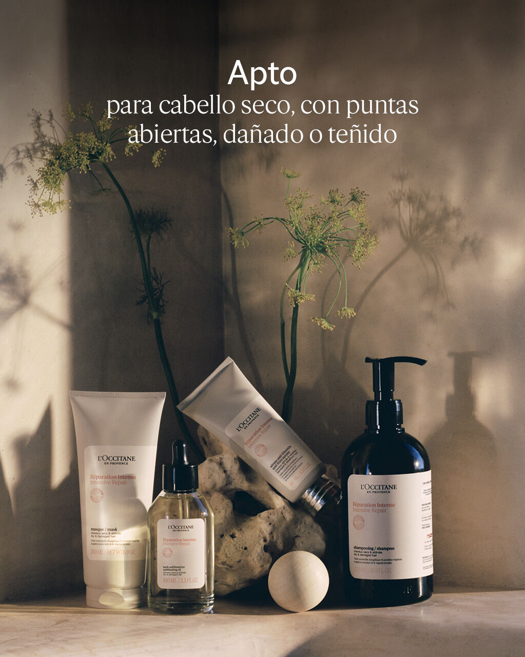 Champú Reparación Intensa - Cabello Sano | L'Occitane